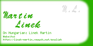 martin linek business card